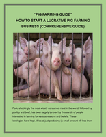 How to Start a Lucrative Pig Farming Business