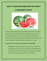  Comprehensive Guide for Watermelon Farming