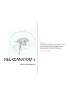 samenvatting toegepaste neuroanatomie