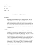 Lab Report Example