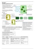 CCEA GCSE Biology 2 Summary Revision Notes
