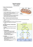 OCR A Level - A2 Biology Revision Notes 