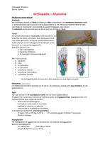 Orthopedie Anatomie 