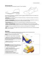 samenvatting Constructiemethodes (Orthopedische schoentechnologie 2.1)