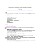 Huidtherapie jaar 1 Blok A Samenvatting Anatomie Fyiosologie (ANFY)