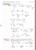 5-Ring Heterocyclic Aromatics 