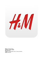 branchwerkstuk H&M
