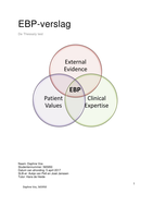 EBP verslag EM2