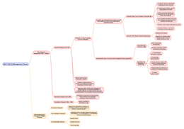 Mind map of Management&colon; A Practical Introduction 8th