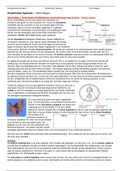 Bundel Hepatobiliair Systeem (Diergeneeskunde jaar 2)
