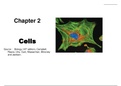 CHAPTER 2 CELL