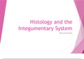 Histology and Integumentary Slides Study Guide