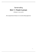 Samenvatting 1.1 People in groups