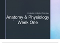 Anatomy + Physiology Week 1 Powerpoints