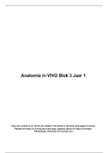 Anatomie in VIVO Blok 1.3