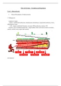 Block 2.1 Circulation and Lungs Summary