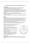 Samenvattingen Fysiotherapie Leerjaar 2 Orthopedie 1 Saxion Enschede