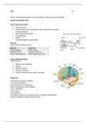 Biopscyhosociaal leerjaar 1, blok 2 OLZS