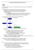 Theoretische Verklaringsmodellen van het SL --> College 1 t/m 6