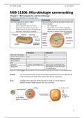 MIB-11306: Microbiologie samenvatting hoorcolleges (BVG)