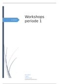 Social Work / MWD Workshops (SMART, feedback, reflecteren) jaar 2 periode 1