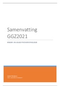 Samenvatting GGZ2021 tm GGZ2026