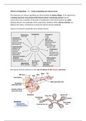 LIFE305 Cell Signalling in Health and Disease - Calcium signalling and calcium stores 
