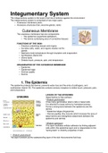 Anatomy and Physiology - Integumentary System