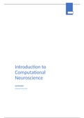 Summary computational neuroscience