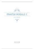 Praktijkcasussen uitgewerkt module C
