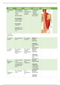 Uitwerking Anatomie in VIVO, blok 1.3