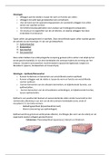 Histologie (Celbiologie)