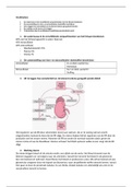 Anatomie/ziekteleer Toets 1 + 2 BVP