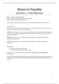 [ Brain in Trouble ] Lecture Notes