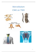 Samenvatting Wervelkolom CWK/TWK/LWK/SIG 