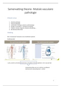 Samenvatting theorie vasculaire pathologie (slides + notities)