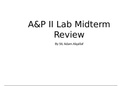 Test Yourself - 250+ Questions to Review for A&P II Lab Midterm (Question Based Study Guide for A&P II)