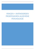 Proefexamen psychologie