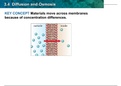Biology- Diffusion and Osmosis