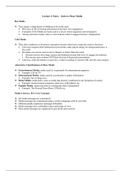 Lecture 4 Notes