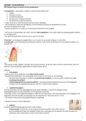medische en tandheelkundige vakkennis 2