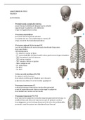 Anatomie in vivo 1D