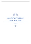 Multiculturele psychiatrie, doelgroep Turken