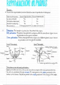 Biology - Reproduction in Plants 1