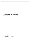 Auditing Practices - Boek