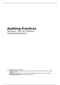 Auditing Practices - NV COS, artikel en controleprogramma's