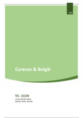 TIO - HEM2 - compleet verslag voor het vak CCCN (cross cultural communication)