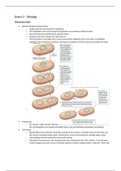 3rd Biology Exam Study Guide -- Mitosis/Meiosis/Regulation/DNA