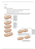 3rd Biology Exam Study Guide -- Cell Cycle and Binary Fission