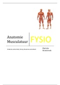 Anatomie in vivo 2A alle musculatuur 